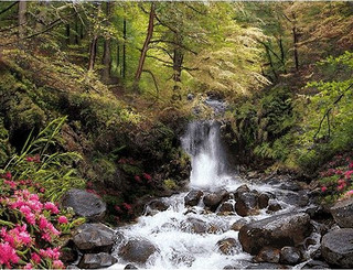 نخ و نقشه تابلو منظره طبیعی آبشار جنگل (کد A899)